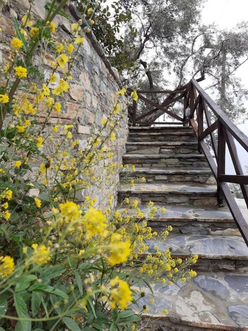 Villa Limnionas Sunview Xorychti Exterior foto